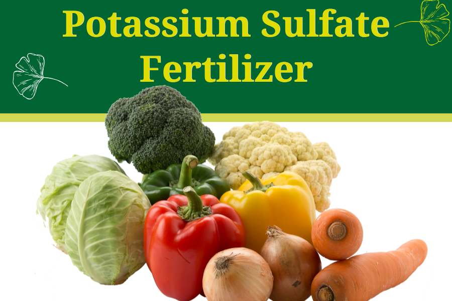 Potassium Sulfate Fertilizer Potassium Sulfate Fertilizer